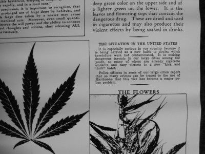   ~MARIJUANA~ASSASSIN of Youth MADD Stamp Out Dope Poster  