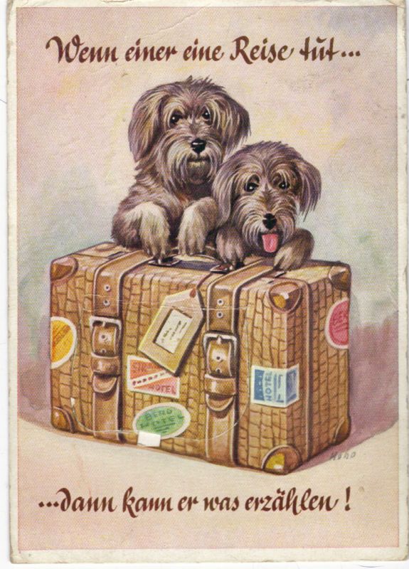 Dogs Suitcase Munchen Views Hoho 1955 Novelty Postcard  