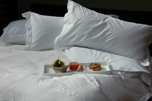 STAR HOTEL KING FEATHER PILLOW SHERATON HILTON HOTELS  