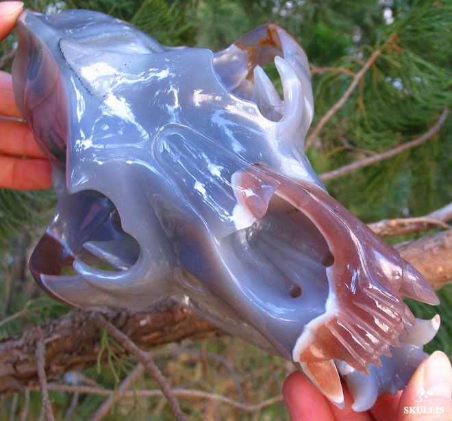 STUNNING Gray & White Agate Carved Crystal Bear Skull  