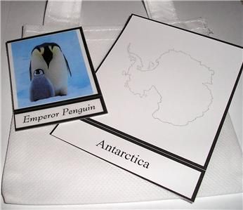 ANTARCTICA CONTINENT SET Social Studies Montessori NEW  