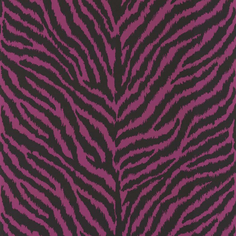 Pink / Black   6163 Masai Zebra Animal Print Wallpaper  