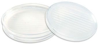 JustRite Clear Stamper Oval 2  1/4 x 3 1/16“  