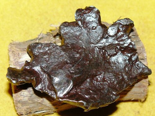 METEORITE SIKHOTE ALIN PIECE FROM RUSSIA 31,6 g  