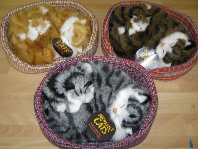 Purrfect Sleeping Furry Cat With Kitten In A Basket  