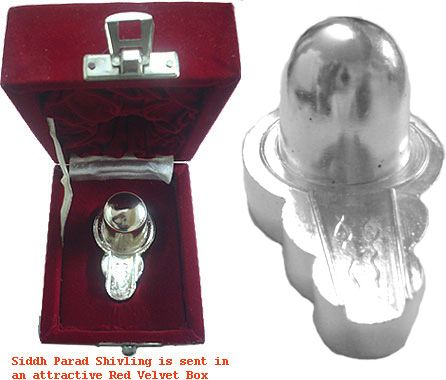 Siddh Parad Shivaling   Mercury Shiva Linga 2.4  