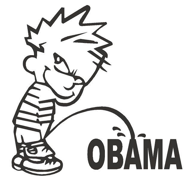 ANTI OBAMA DECAL STICKER CAR WINDOW BUMPER  