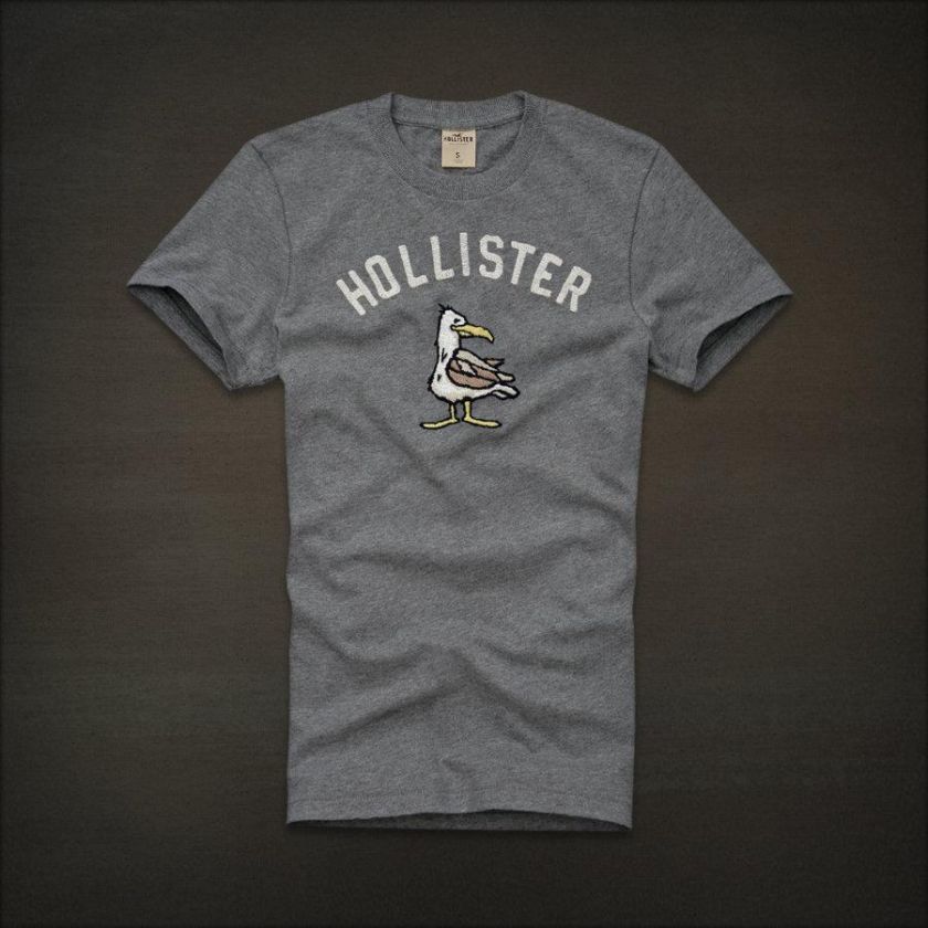 NWT Hollister Men Leucadia GraphicTee T Shirt Top  