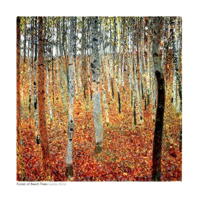 Gustav Klimt Forest of Beech Trees Oil Painting repro  