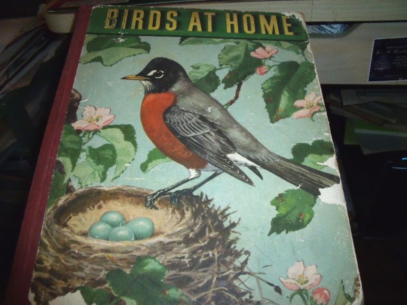 Birds at Home by Marguerite Henry (1942) HC  