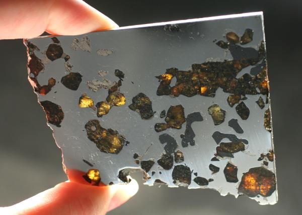 METEORITE PALLASITE SEYMCHAN PERFECT ETCHED SLICE 81g  