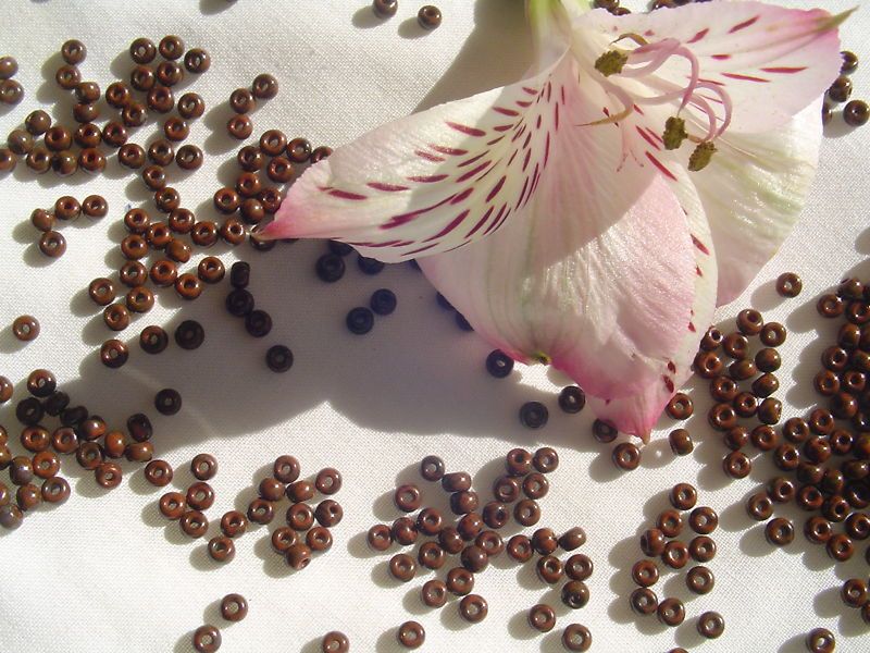 Toho Glass Seed Beads 37 Terra Cotta Picasso 14g  