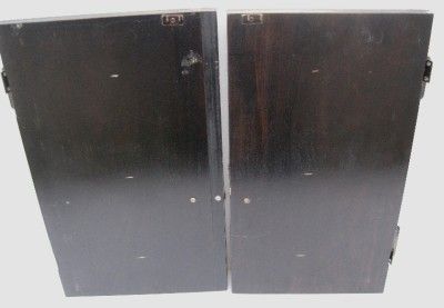 PAIR OF BLACK ORIENTAL STYLE CABINET / CUPBOARD DOORS  