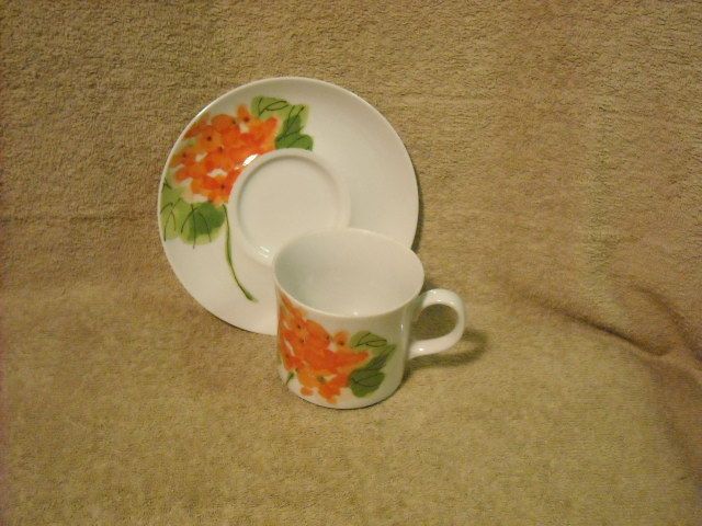 Mikasa Geraniums L 1058 Cup (s) & Saucer (s) Vera  