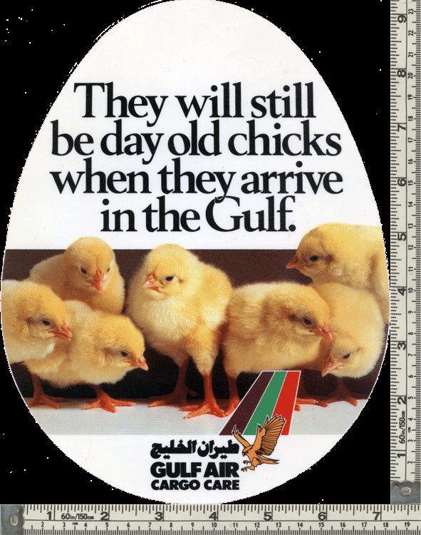 GULF AIR CARGO AGENT 1980s LGE AIRLINE STICKER ~V RARE~  