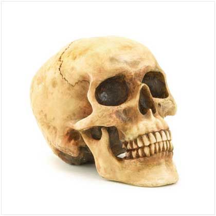 Wholesale Halloween   Grinning Skull 6.5   Save 45%  