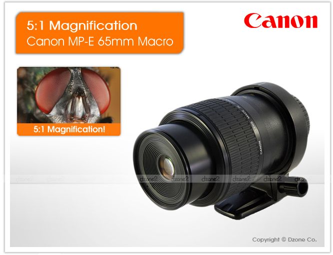 Canon MP E 65mm f/2.8 1 5x Marco Lens MPE 65 #L311 0082966214219 