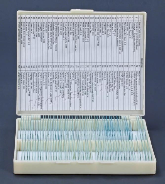 100 Prepared Basic Science Microscope Slides Set B +Box  