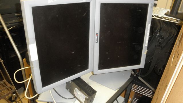 DUAL DELL DOME MONITORS  