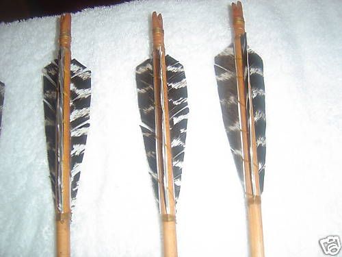   PRIMITIVE WOOD ARROWS WITH NATURAL TURKEY FEATHERS (UNCUT)  