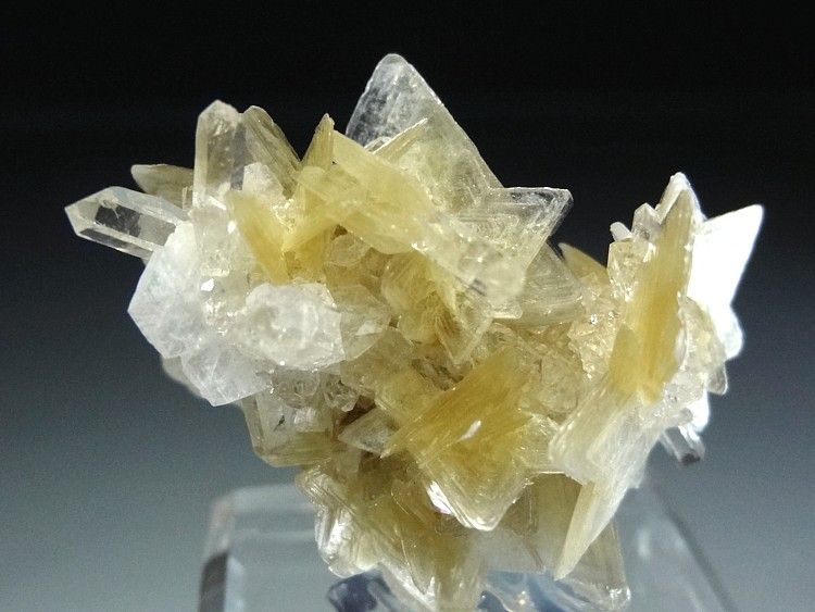 Yellow Star Muscovite Crystal Cluster with Gem Clear Quartz #7  