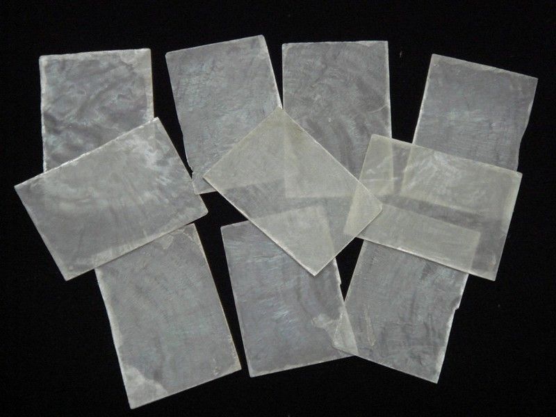 RECTANGLE CAPIZ SEA SHELL BLANK NO HOLE CRAFT 10 PCS #7519  